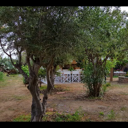 Pari Manda Villa Agios Prokopios (Naxos)