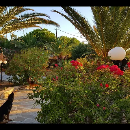 Villa Pari Manda Agios Prokopios (Naxos)